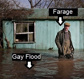farage flood tourist